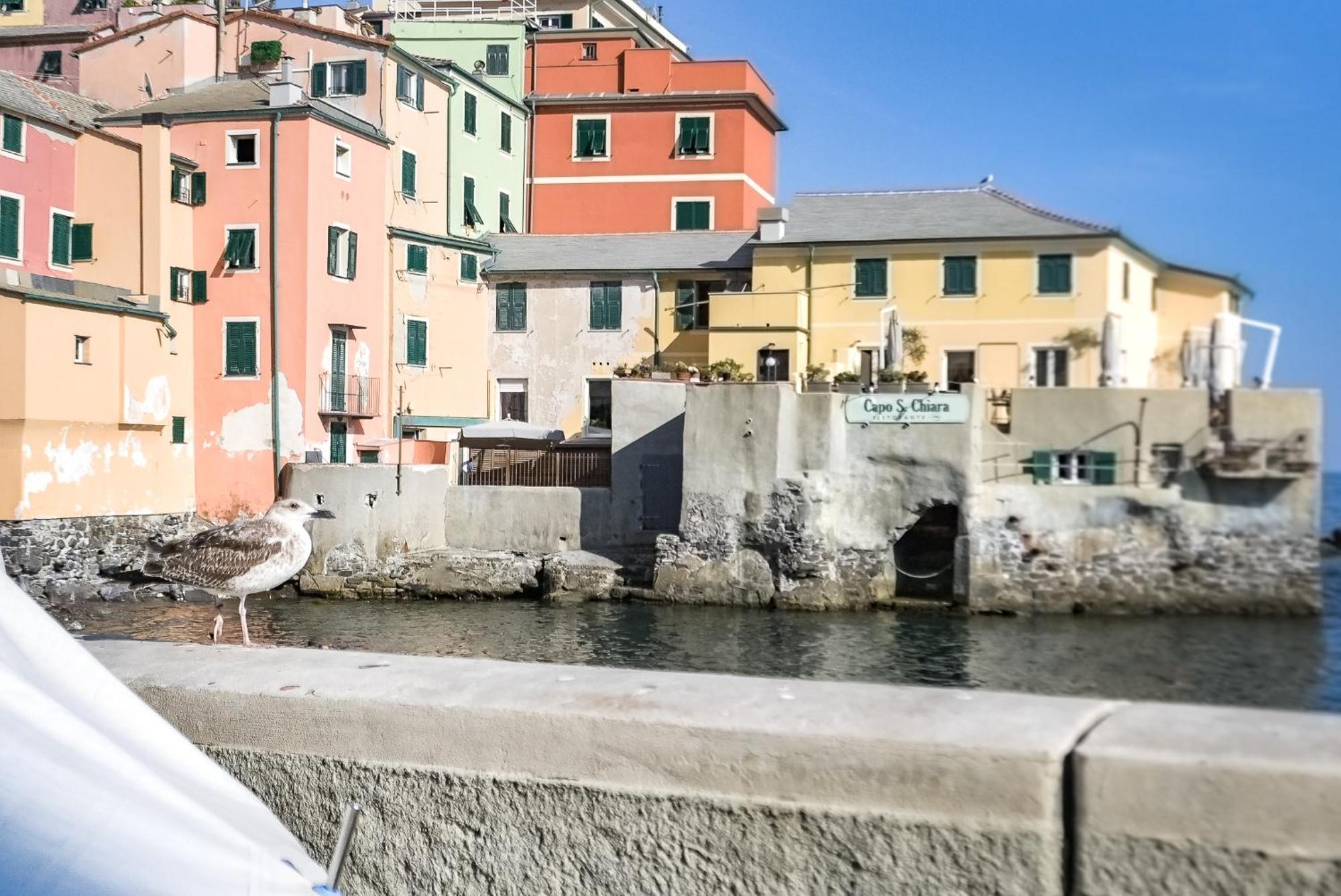 Apartmán Il Rifugio Sul Mare - Genovainrelax Exteriér fotografie